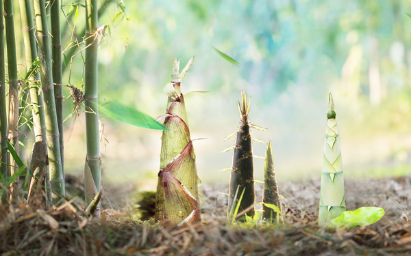 企業(yè)理(lǐ)念